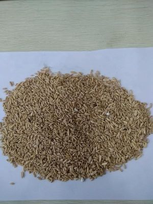 Nazwa